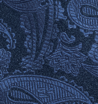 Navy Paisley